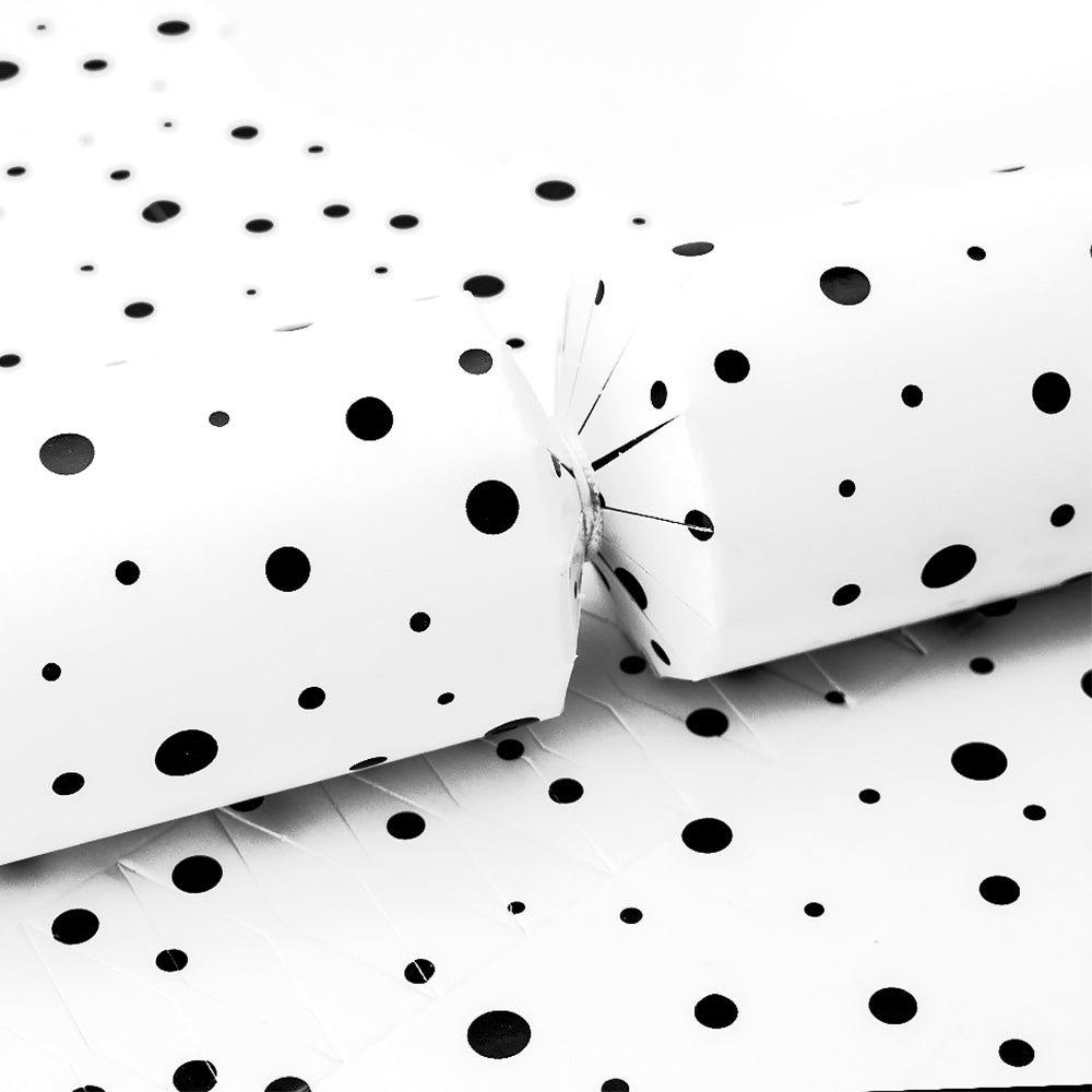 Dalmatian Dots | Cracker Making Craft Kit | Make &amp; Fill Your Own
