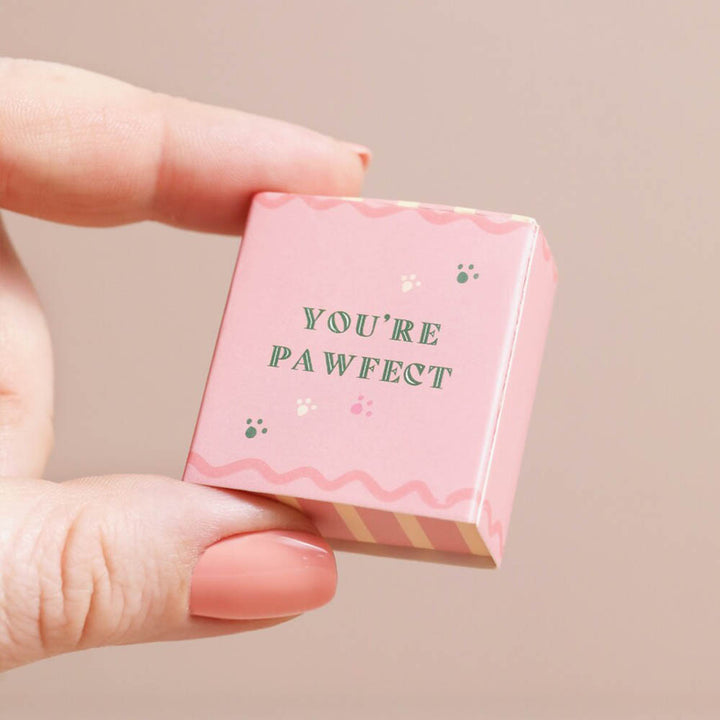 You're Pawfect | Mini Matchbox Dog Token | Little Gift | Cracker Filler