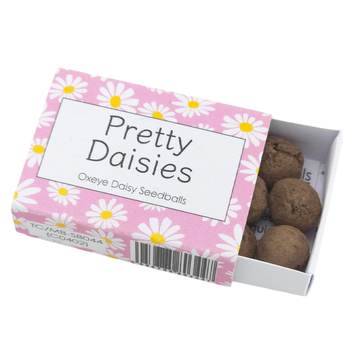 Pink Daisy Design | Seedball Box | Oxeye Daisies | Cracker Filler | Mini Gift