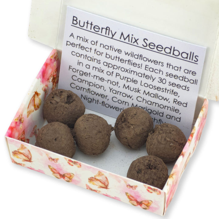 Friends Forever | 6 Seedball Matchbox | Butterfly Mix | Cracker Filler Gift