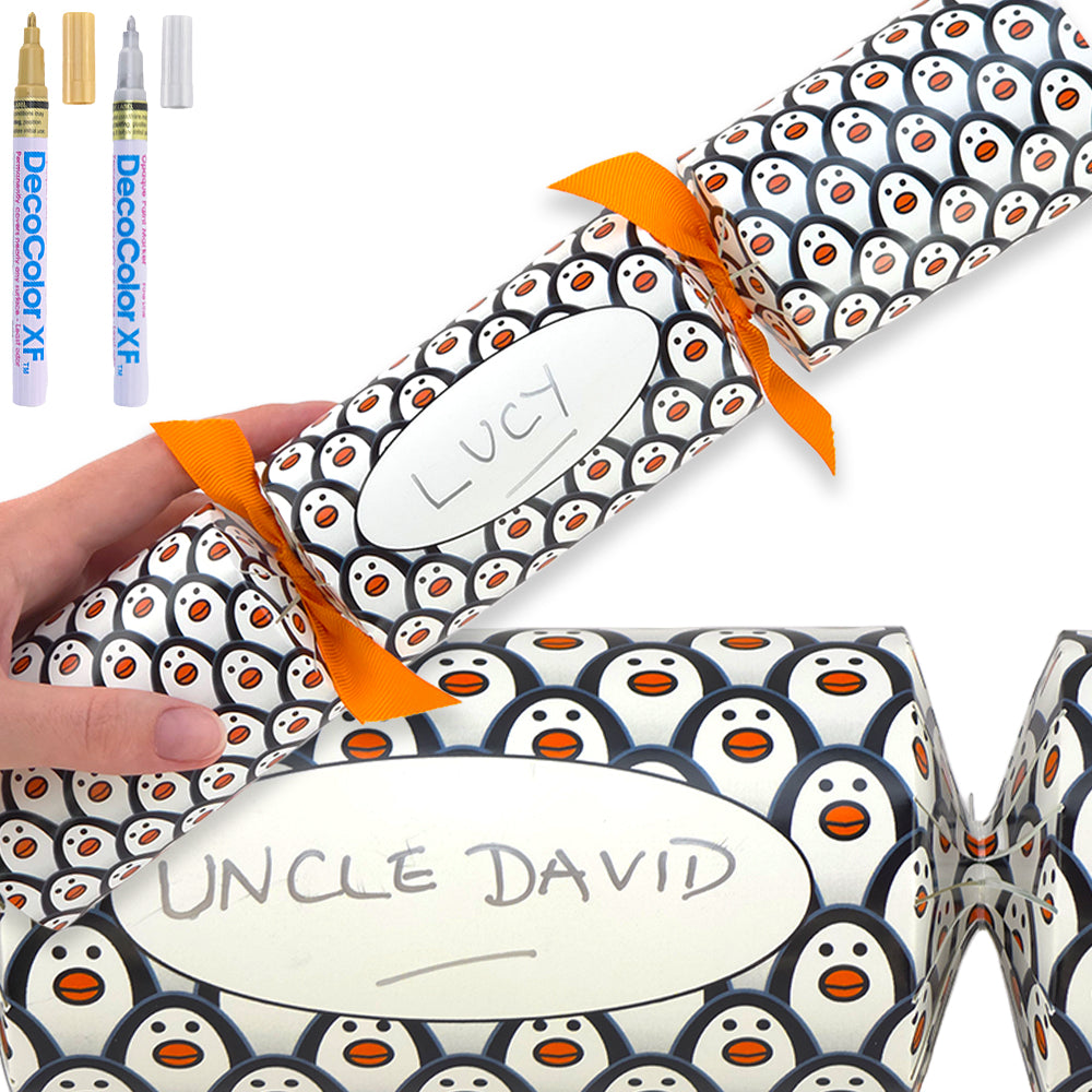 Personalise Your Own Crackers Craft Kit | 4 or More | Just Penguins