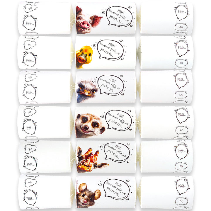 Cheeky Meerkat Milestone Birthday | Cracker Making Craft Kit | Make Your Own