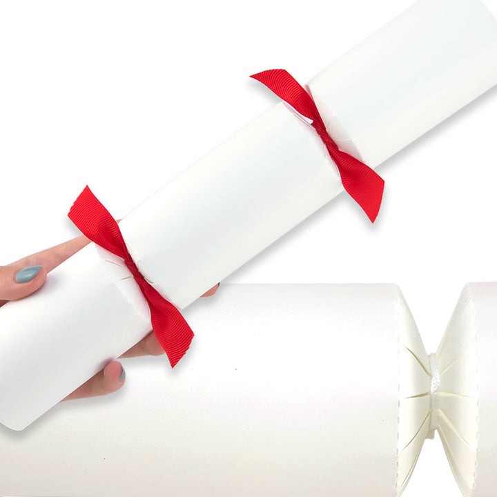 Cool White | Cracker Making DIY Craft Kits | Make Your Own | Eco Recyclable