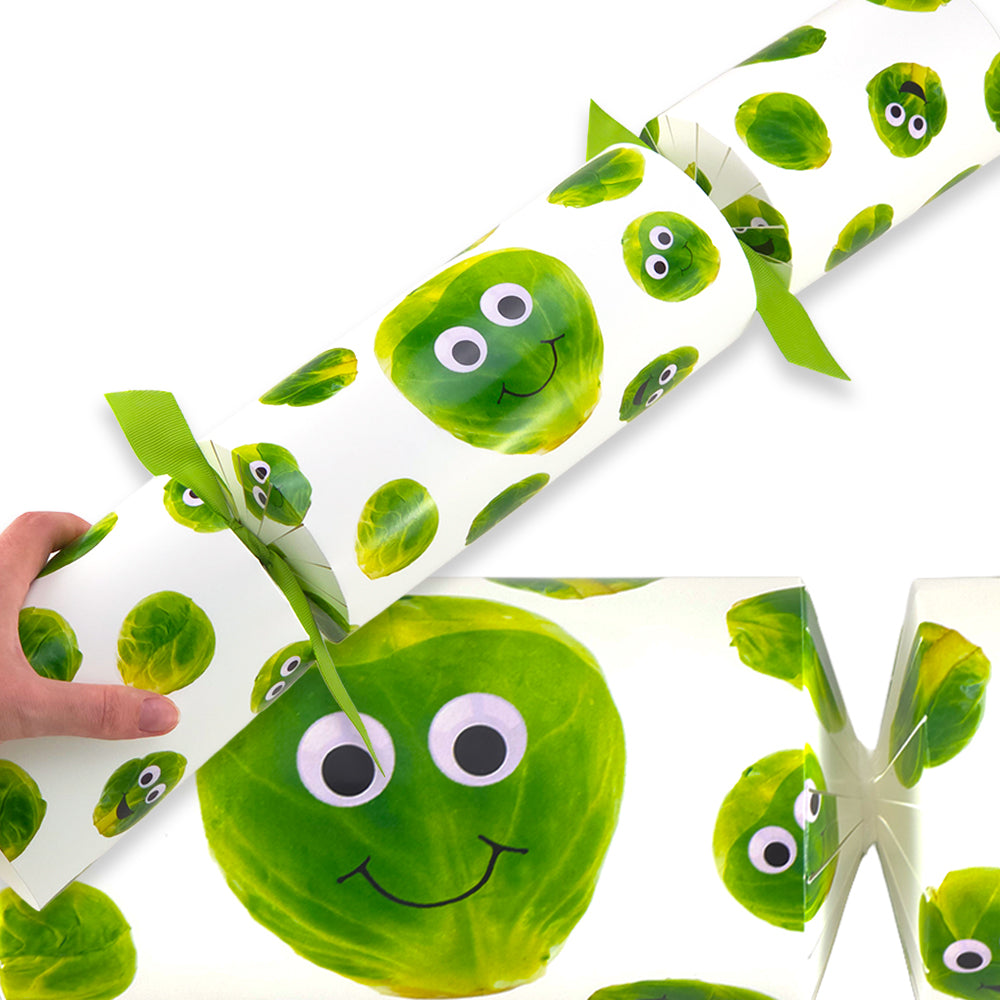 Extra Large &amp; Jumbo | Reusable Keepsake DIY Cracker Sets | Googly Sprouts