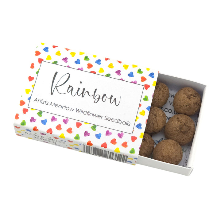Rainbow | Artist Mix | 6 Seedball Box | Cracker Filler | Little Gift