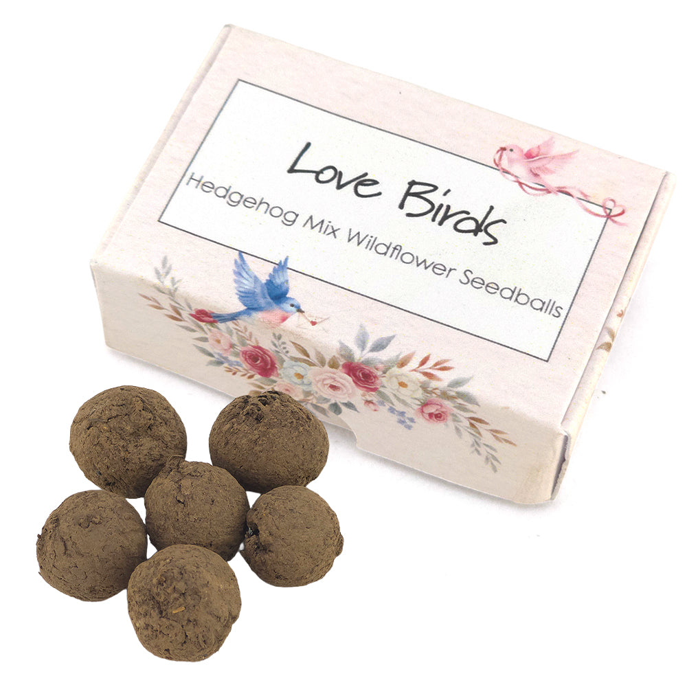 Love Birds | Hedgehog Friendly Seedball Box | Valentines Cracker Gift