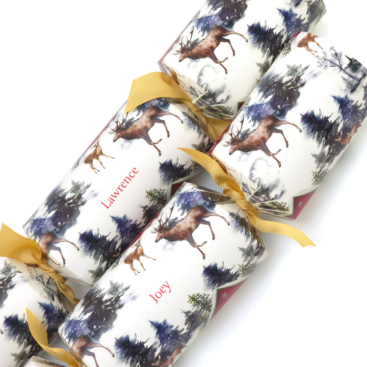 Personalised Cracker Making Craft Kit | Christmas in the Alps | Minimum 4