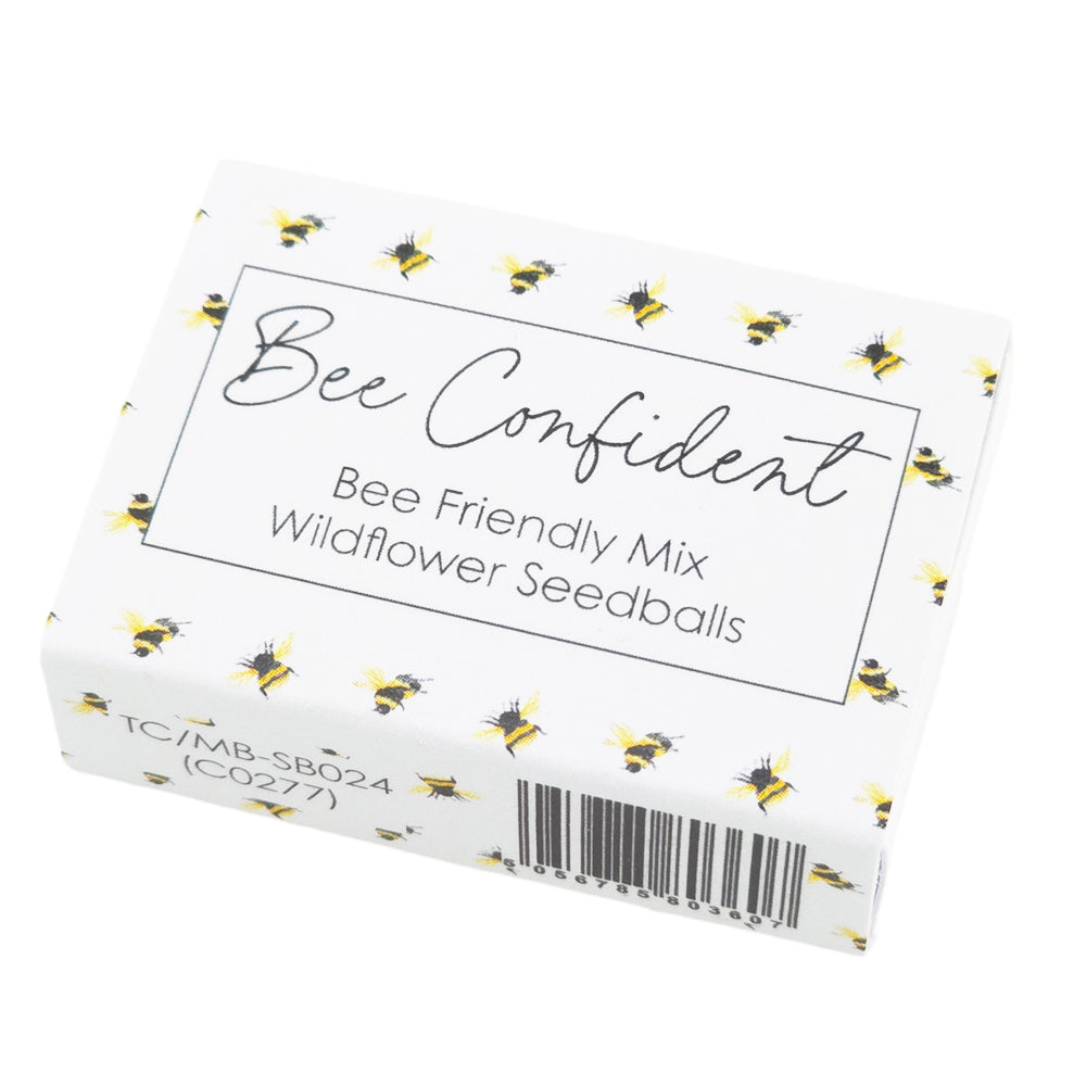 Bee Confident | 6 Seedball Matchbox | Bee Mix | Cracker Filler | Little Gift