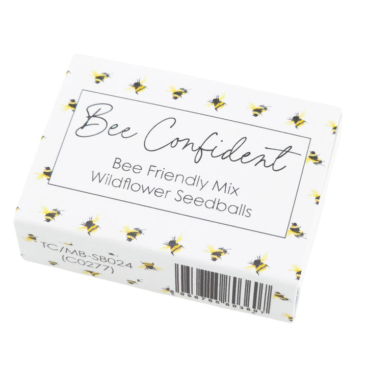 Bee Confident | 6 Seedball Matchbox | Bee Mix | Cracker Filler | Little Gift