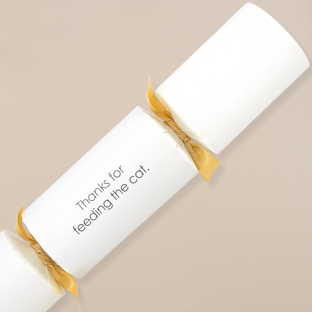 Thanks for feeding the cat | Modern Phrases Cracker Making Kit