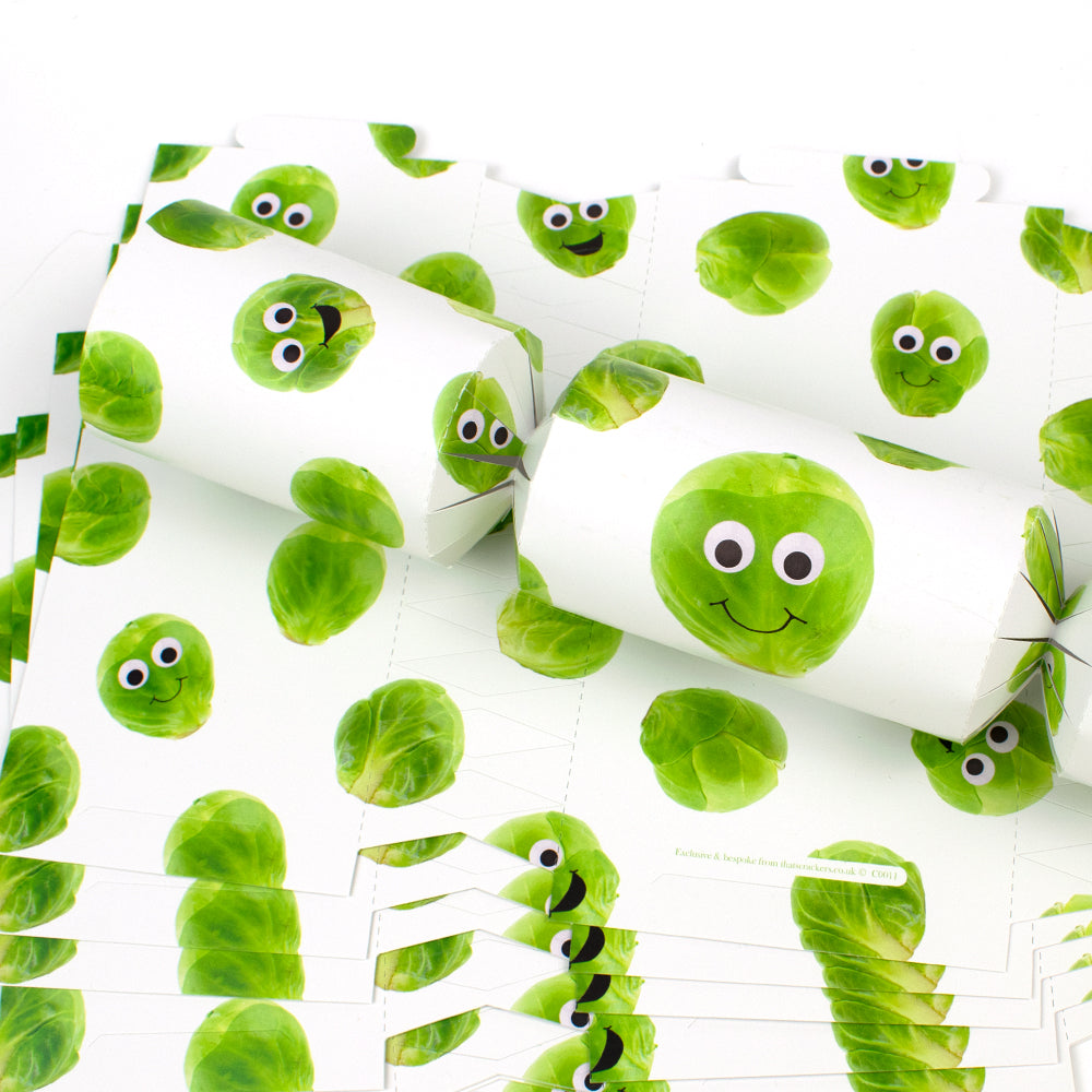 Christmas Sprout | Cracker Making Craft Kit | Make and Fill Your Own