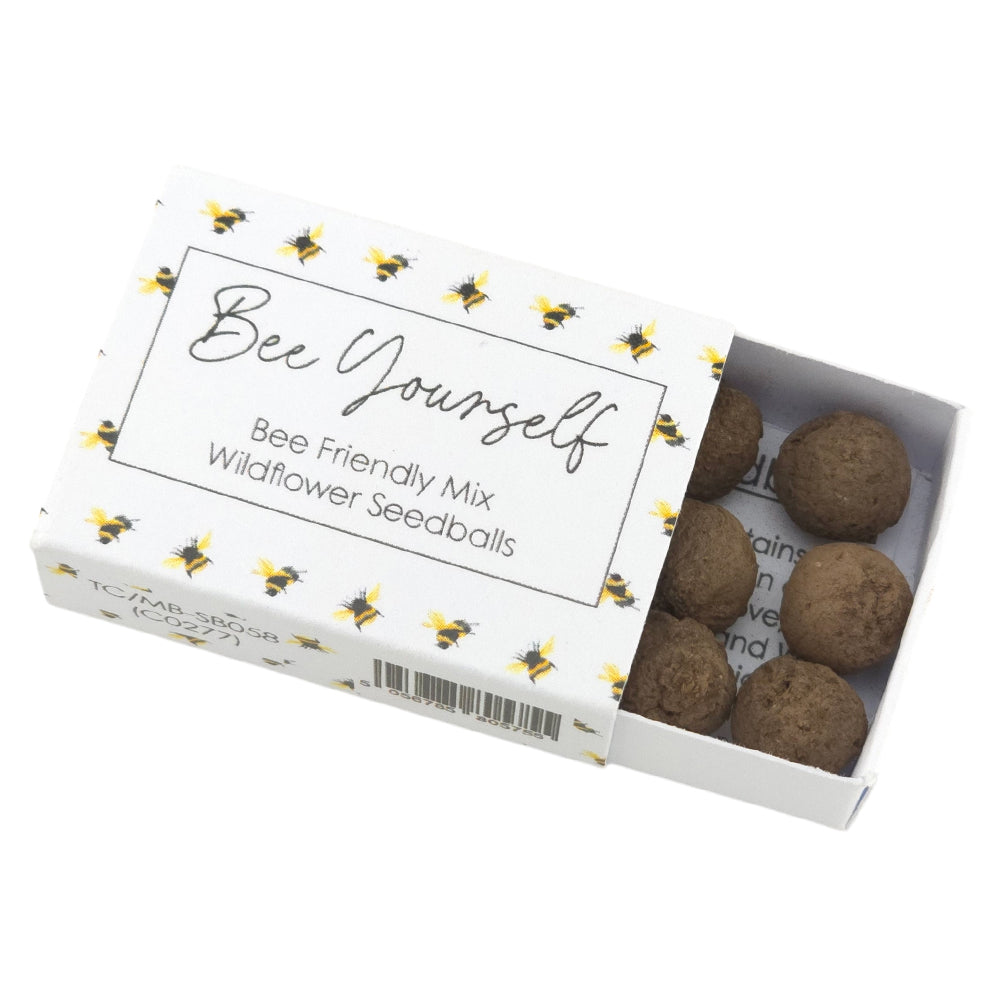 Bee Yourself | 6 Seedball Matchbox | Bee Mix | Cracker Filler | Little Gift
