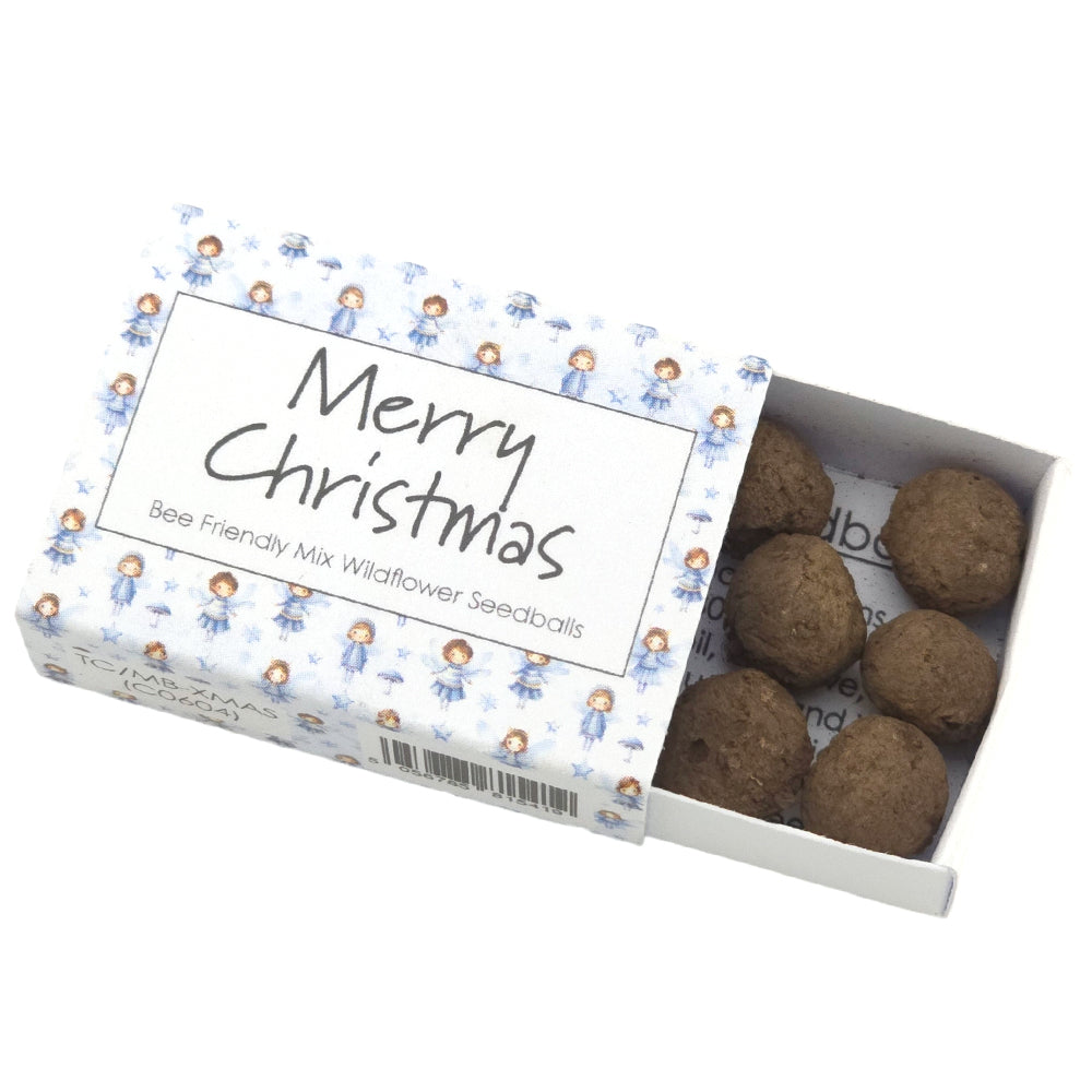 Winter Fairies | Merry Christmas | Bee Mix Seedballs | Cracker Filler Mini Gift