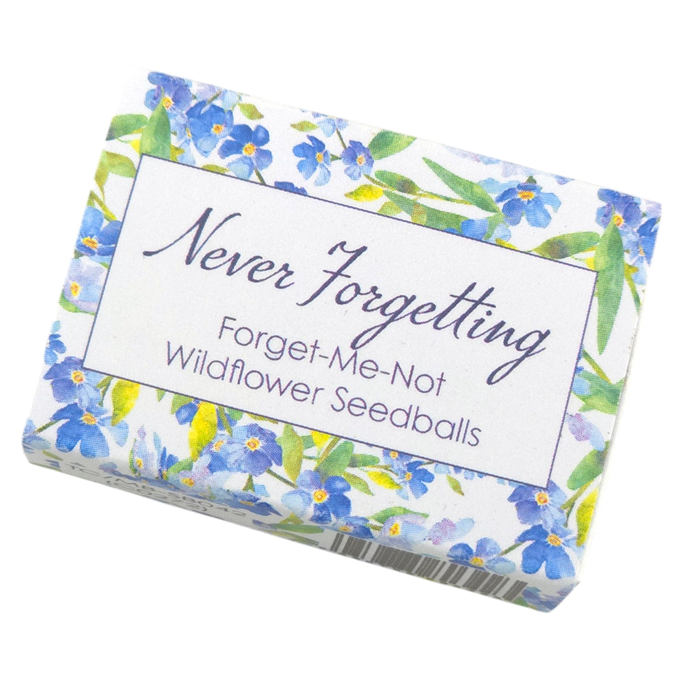 Never Forgetting | Forget Me Not Seedballs | Cracker Filler | Mini Gift