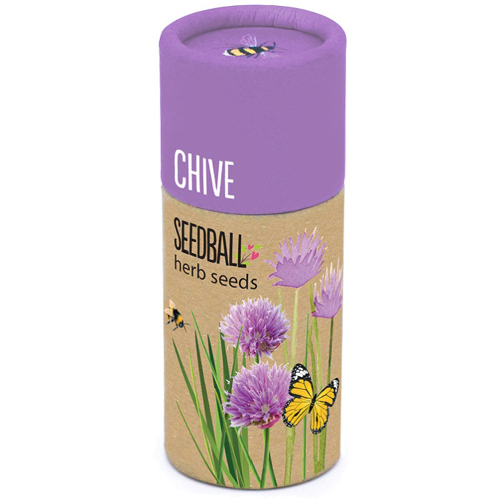 Chives | Luxury Tube of Seedballs | Cracker Filler | Mini Gift