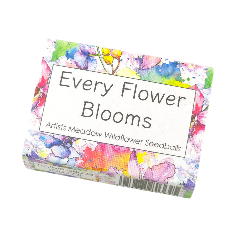 Every Flower Blooms | Artist Mix Seedball Box | Cracker Filler | Mini Gift