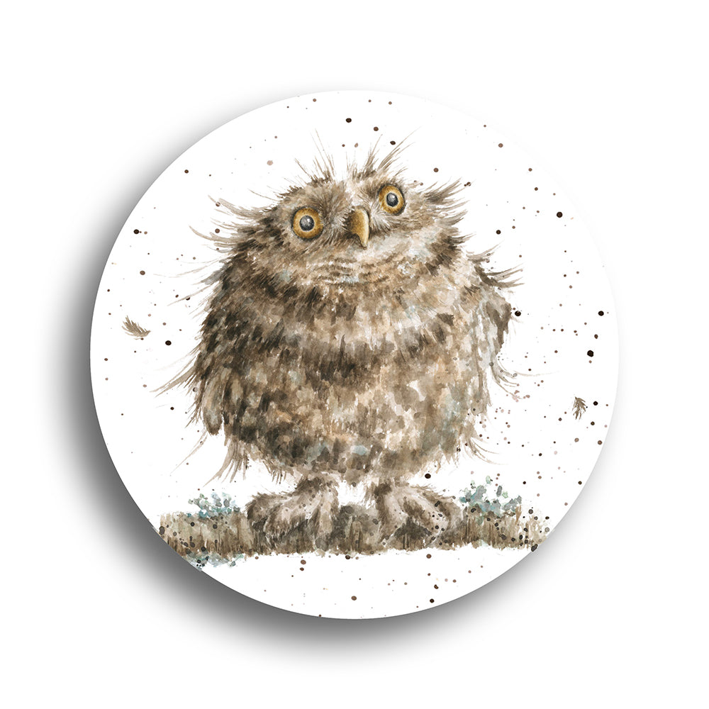 Single Wrendale Designs Glass Domed Magnet | Owl