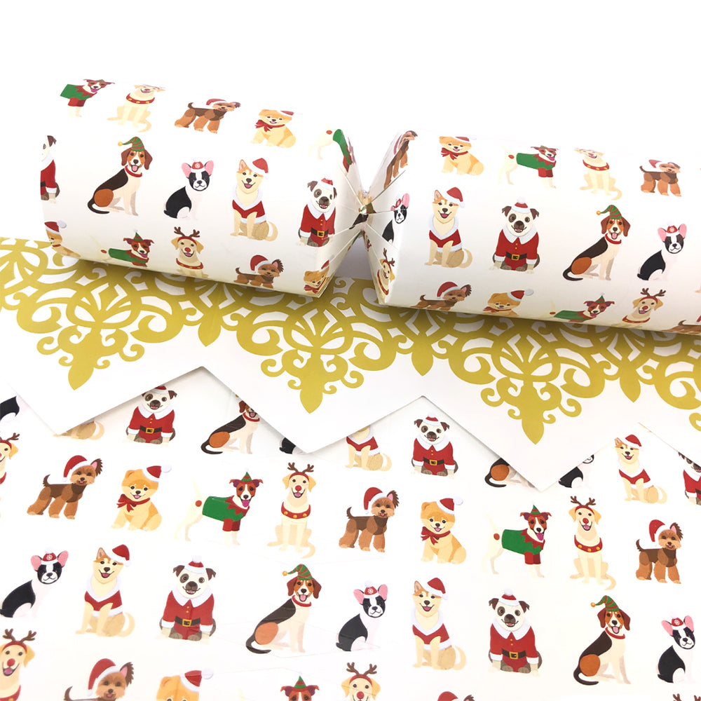 Christmas Dogs | Cracker Making Craft Kit | Make & Fill Your Own