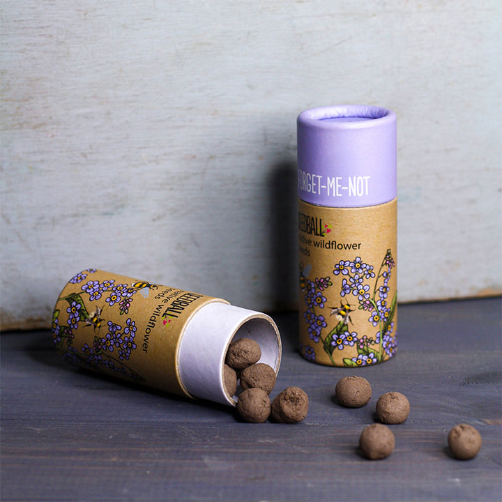 Forget Me Not Seeds | Luxury Tube of Seedballs | Cracker Filler | Mini Gift