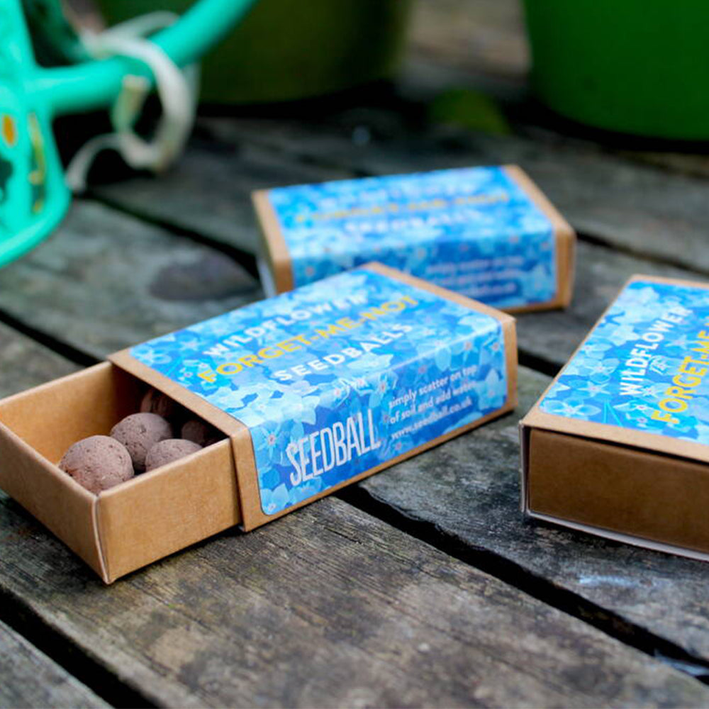 Forget Me Nots | Seedball Matchbox | Cracker Filler | Mini Gift