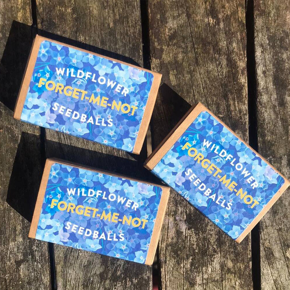 Forget Me Nots | Seedball Matchbox | Cracker Filler | Mini Gift